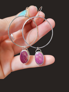 Purple oyster hoops